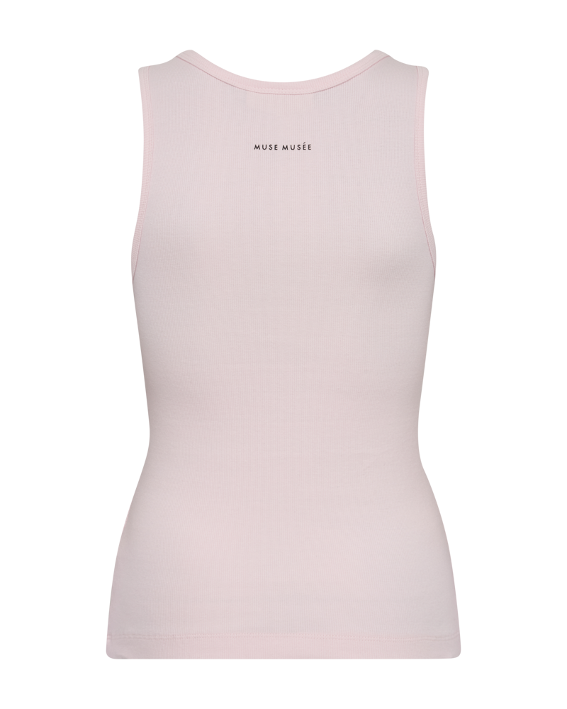 CMSIV - TOP IN ROSE